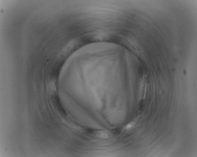 X0000075830127200610061832