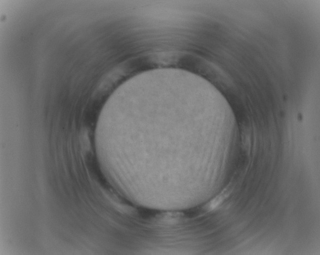 X0000075830128200610061832