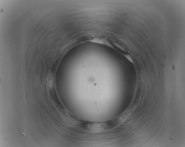 X0000075830129200610061832