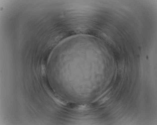 X0000075830130200610061832