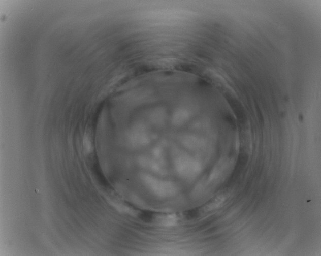 X0000075830131200610061832