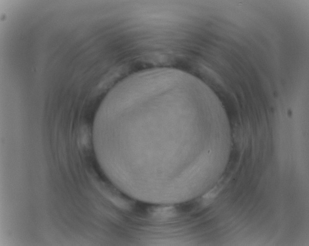 X0000075830132200610061832