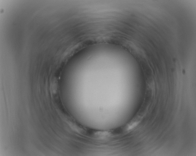 X0000075830133200610061831