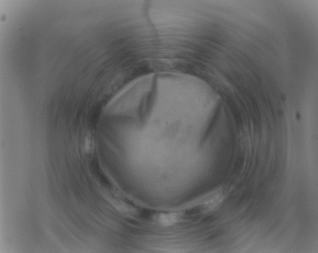 X0000075830134200610061831