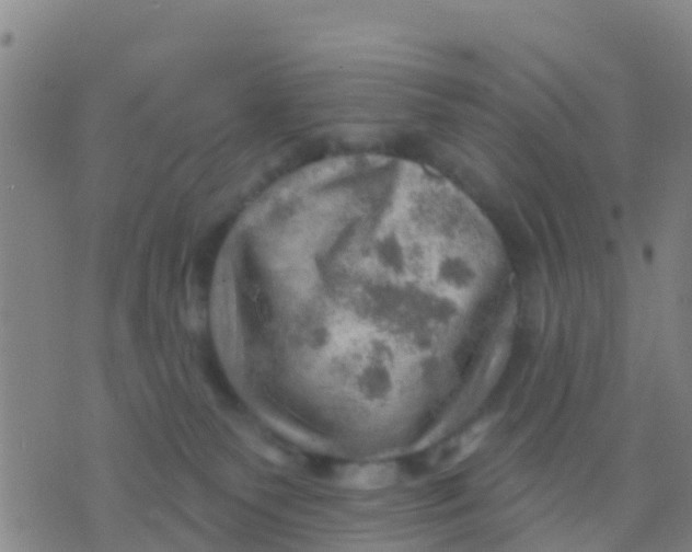 X0000075830135200610061831