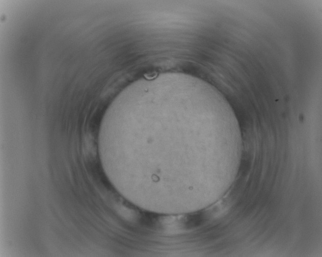 X0000075830136200610061831