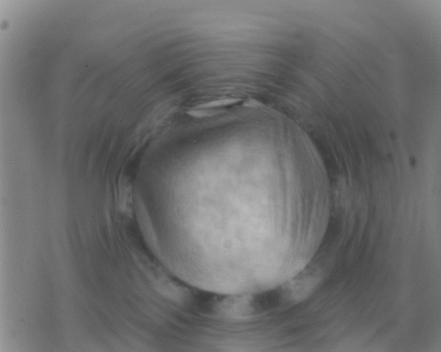 X0000075830138200610061831