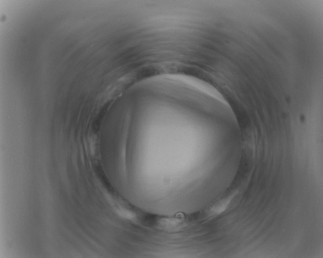 X0000075830139200610061831