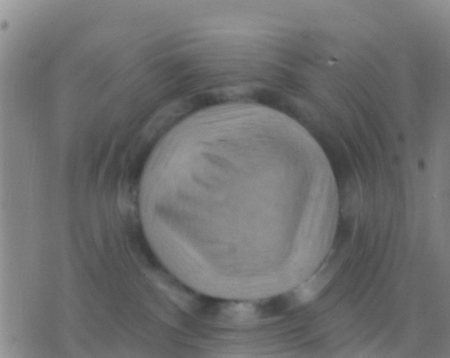 X0000075830140200610061831