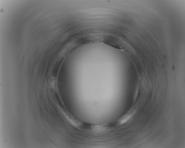 X0000075830141200610061831