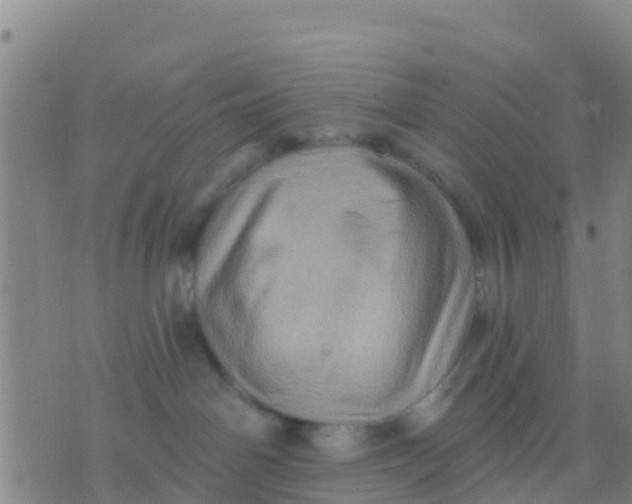 X0000075830142200610061831