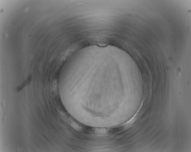 X0000075830144200610061831