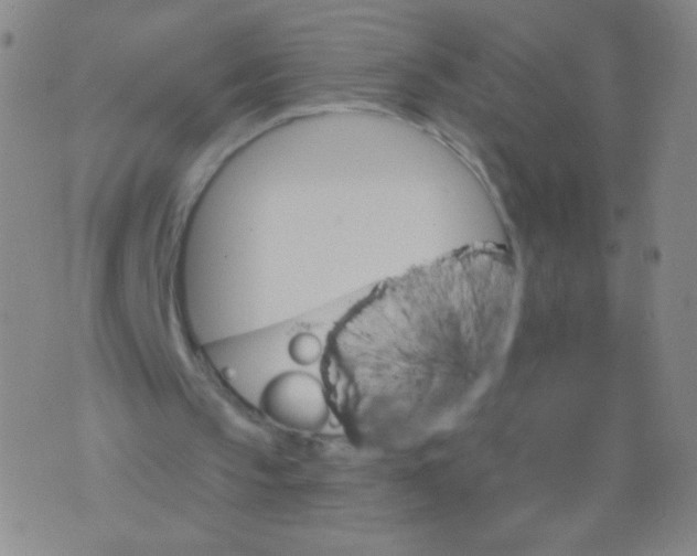 X0000075830145200610061831