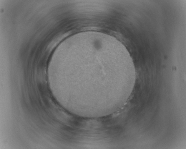 X0000075830146200610061831