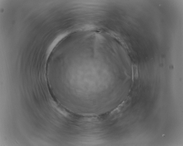 X0000075830147200610061831