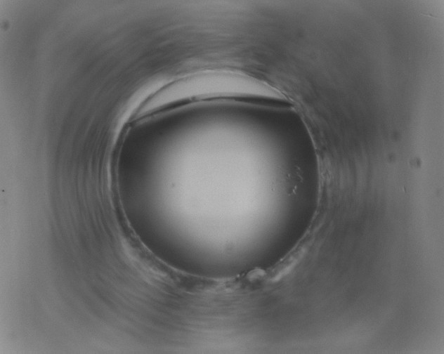 X0000075830148200610061831