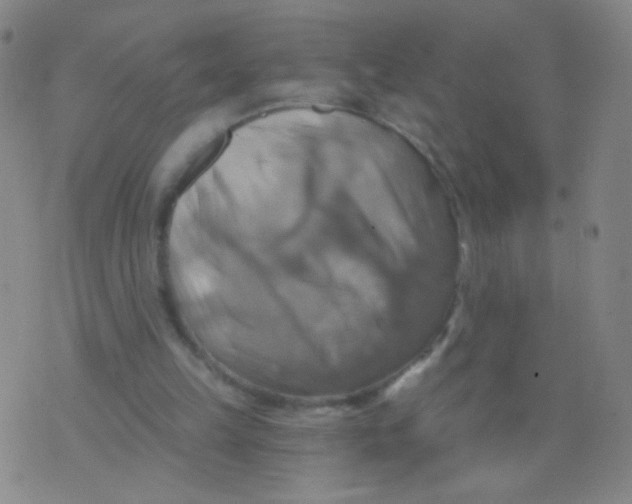 X0000075830149200610061831