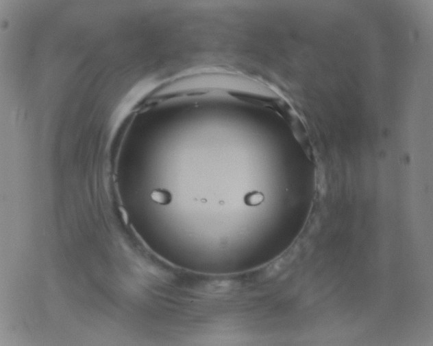 X0000075830152200610061831