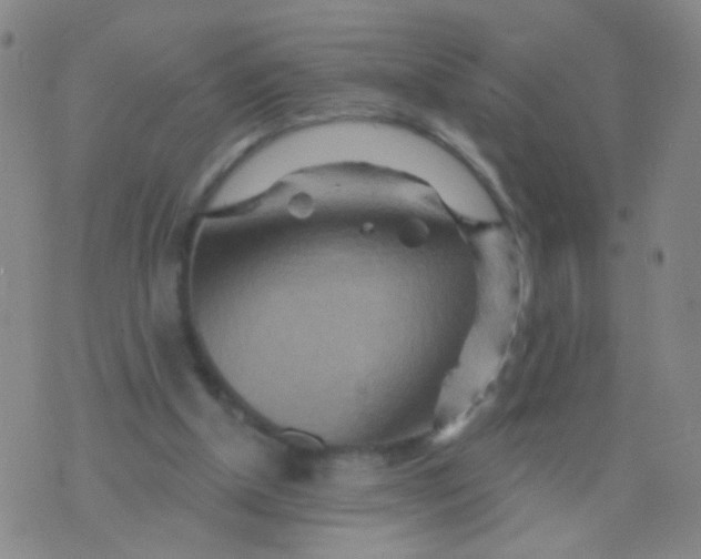 X0000075830154200610061831