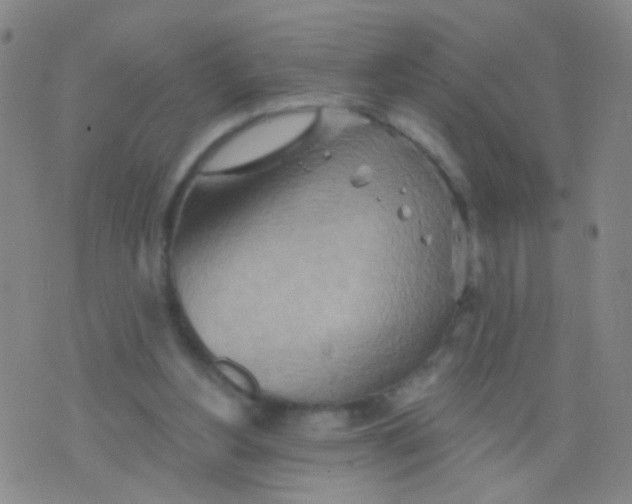 X0000075830156200610061831