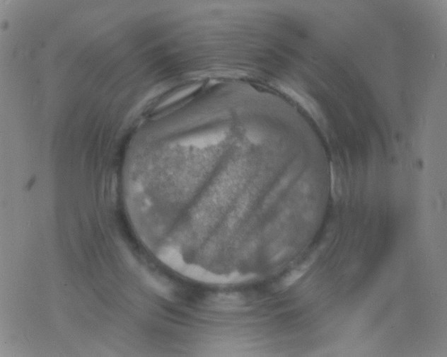 X0000075830157200610061831