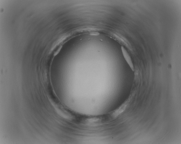 X0000075830158200610061831