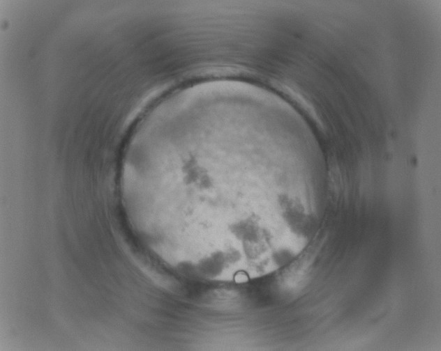 X0000075830159200610061831