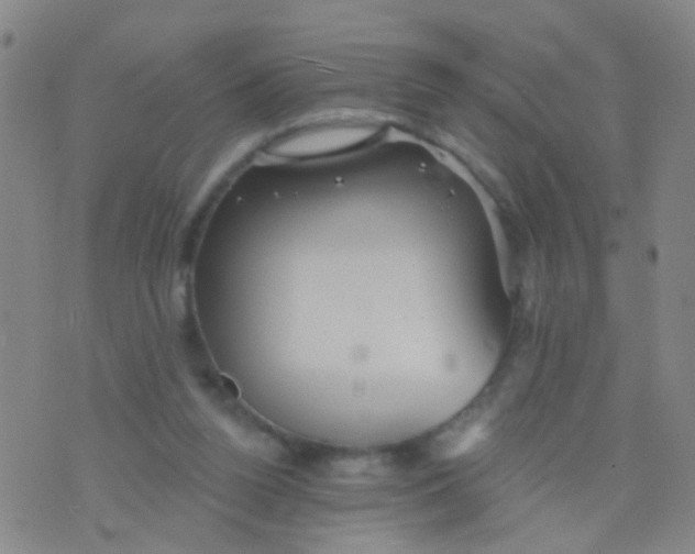 X0000075830160200610061831