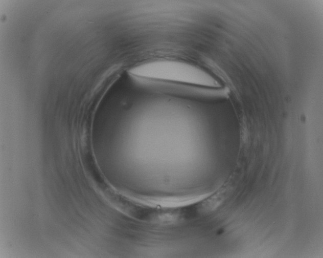 X0000075830163200610061831