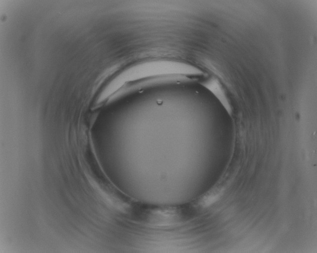 X0000075830164200610061831