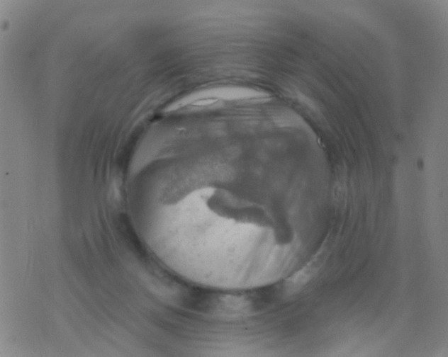 X0000075830166200610061831