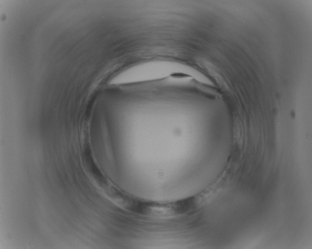 X0000075830167200610061831