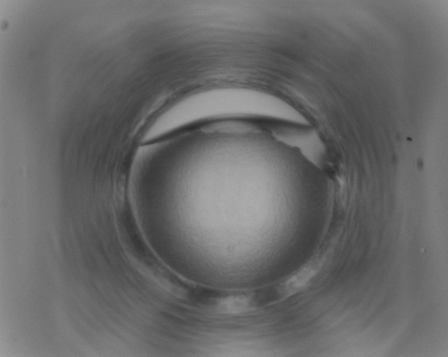 X0000075830168200610061831