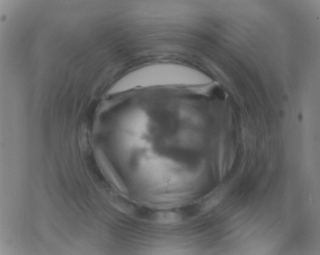 X0000075830169200610061831