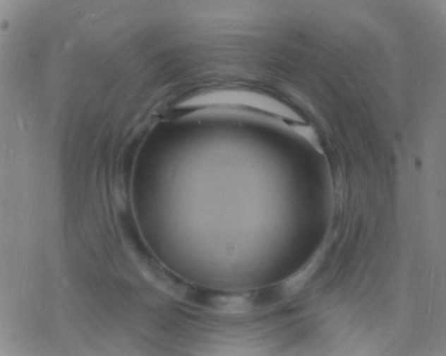 X0000075830170200610061831