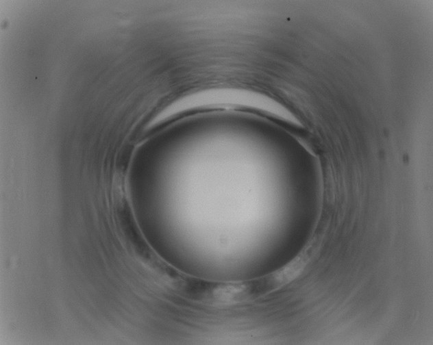 X0000075830172200610061831