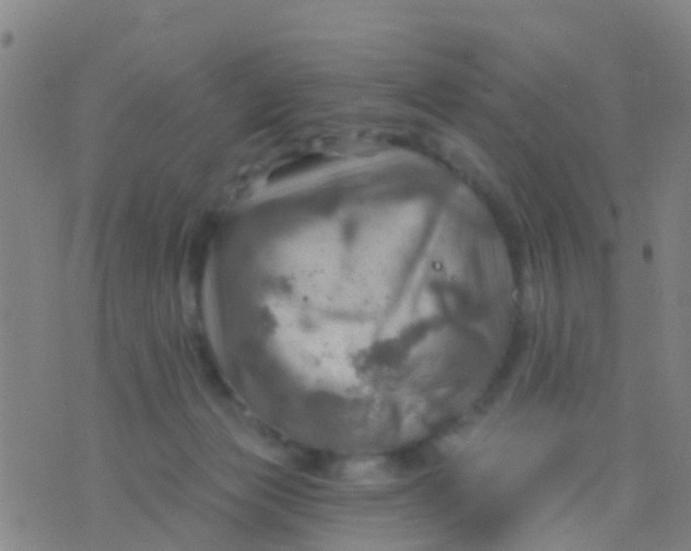 X0000075830173200610061831