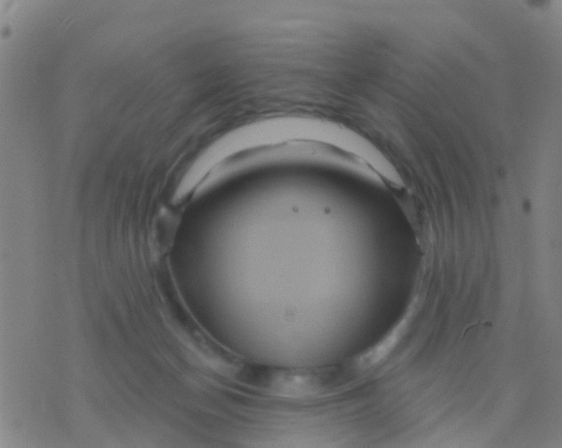 X0000075830174200610061831