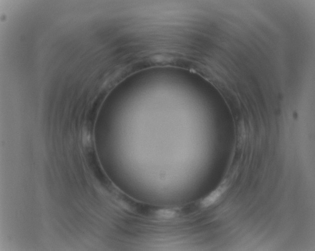 X0000075830176200610061831