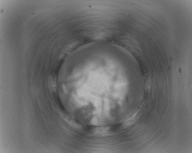 X0000075830179200610061831