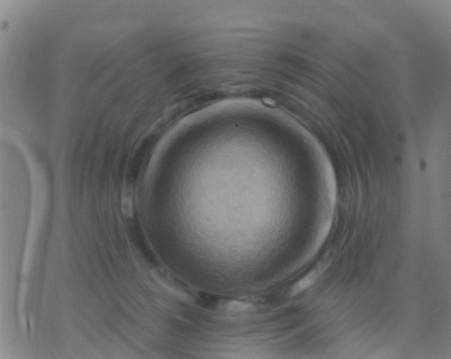 X0000075830180200610061831