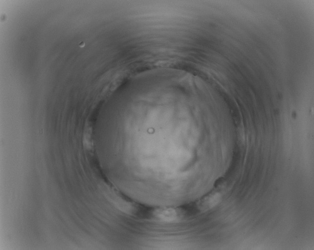 X0000075830181200610061831