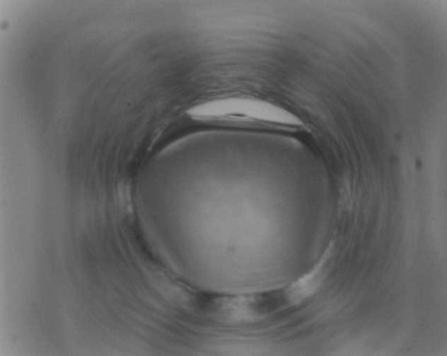 X0000075830182200610061831