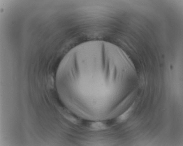 X0000075830183200610061831