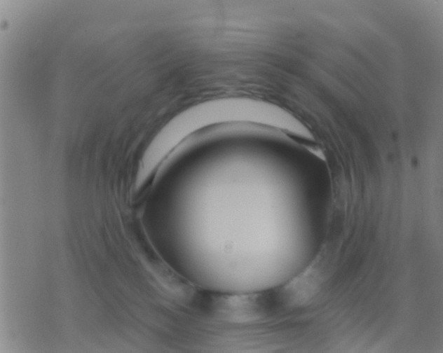 X0000075830184200610061831