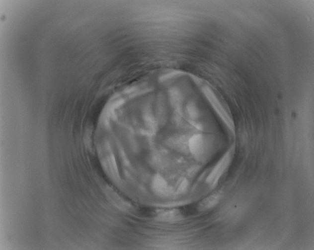 X0000075830185200610061831