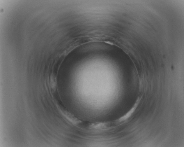 X0000075830186200610061831