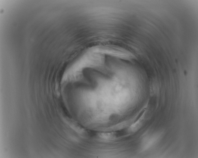 X0000075830187200610061831