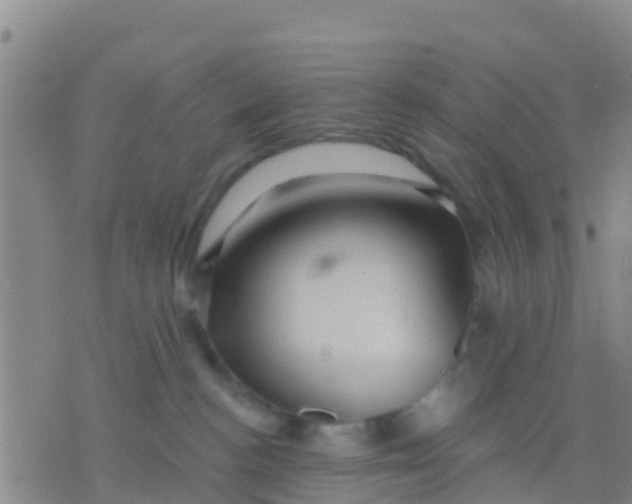 X0000075830188200610061831