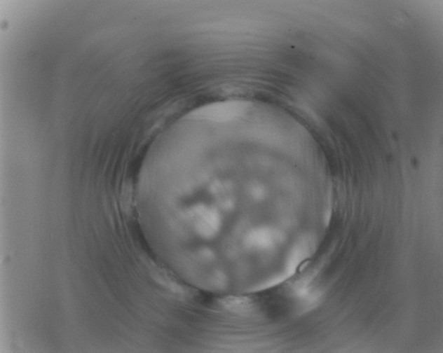 X0000075830189200610061831